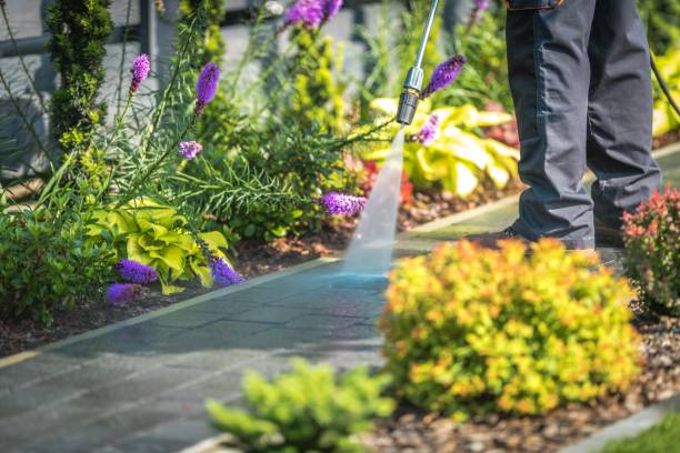 Trusted Port Hueneme, CA Pressure Washing Services Experts