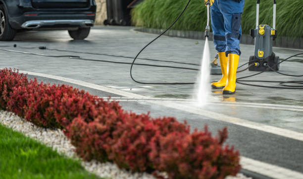 Best Driveway Pressure Washing  in Port Hueneme, CA